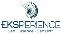 Logo Eksperience